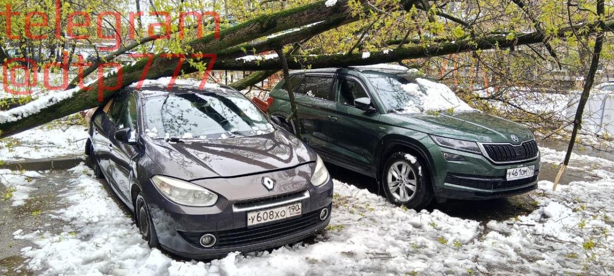 Skoda - У461ОМ799