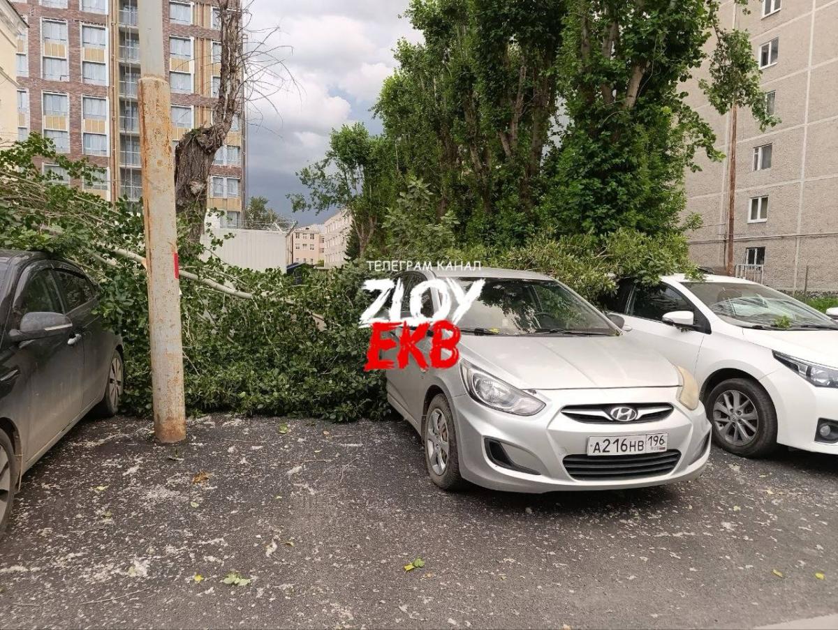 Проверка по номеру А216НВ196 — Hyundai