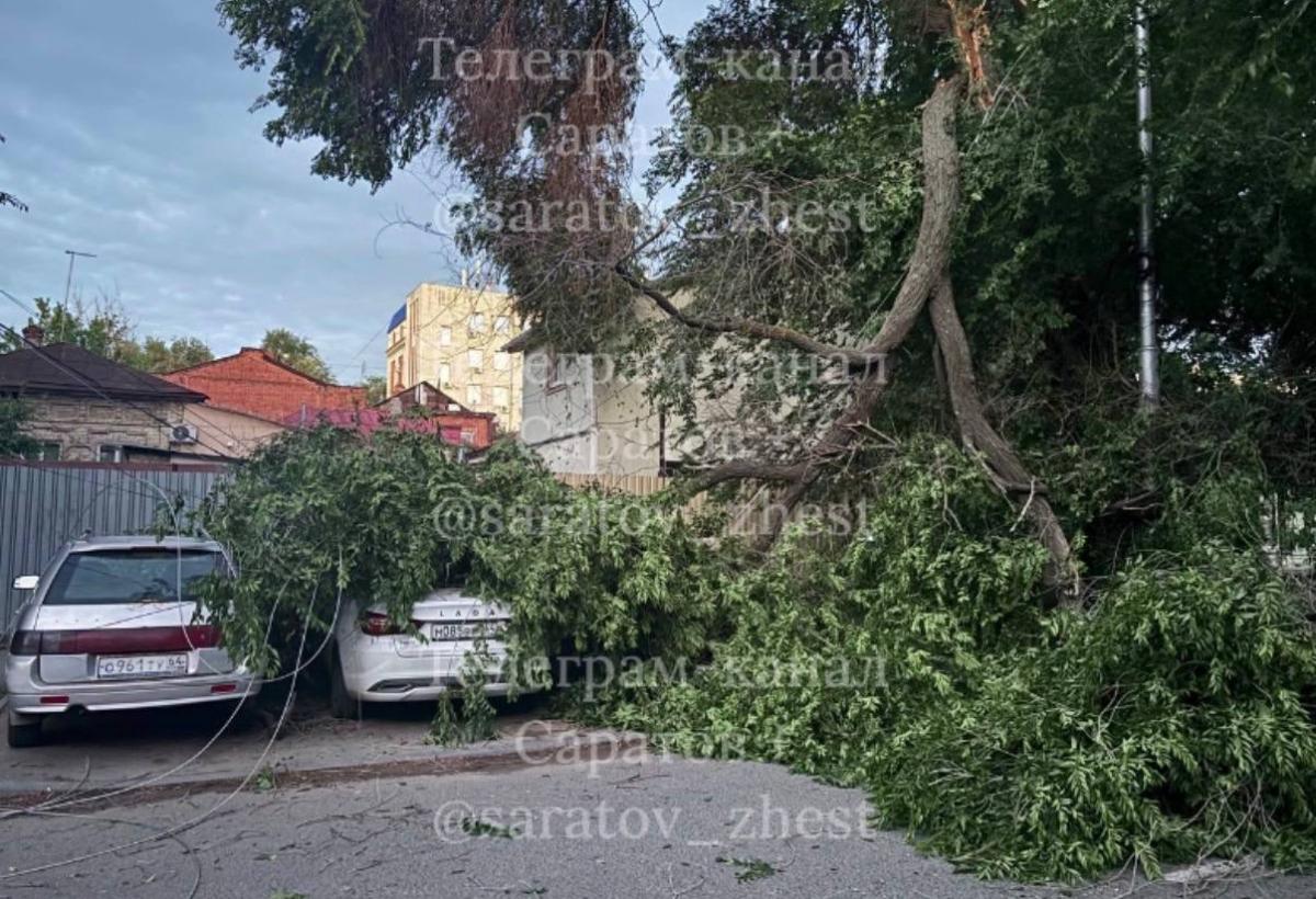 Проверка по номеру М085ВЕ164 — LADA