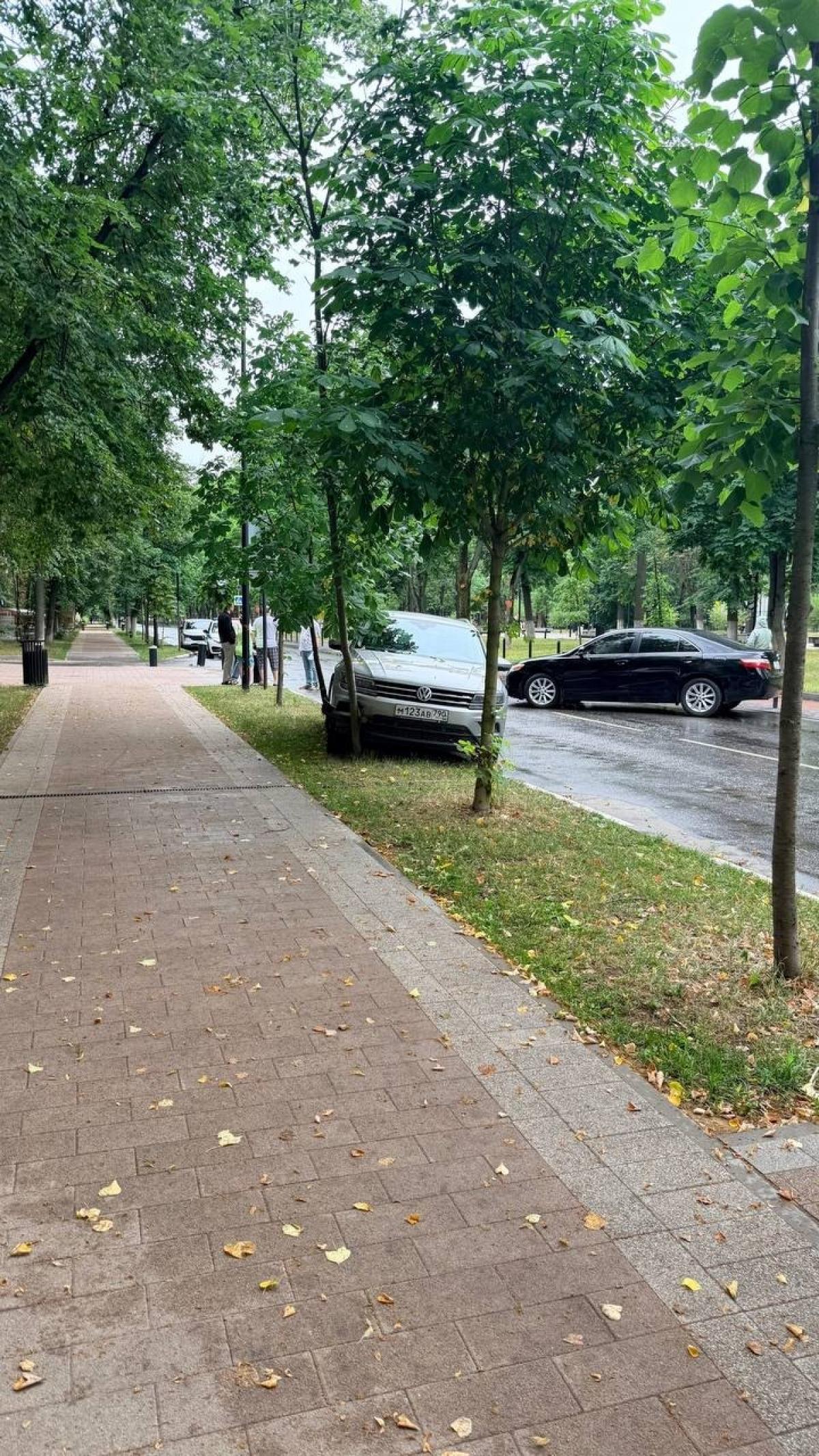 Проверка по номеру М123АВ790 — Volkswagen