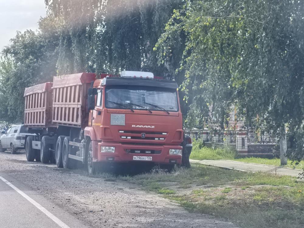 КАМАЗ - Н796ВО136