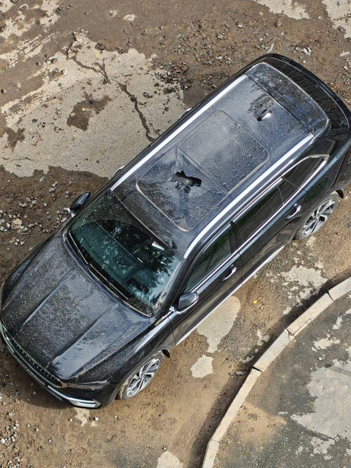 Volkswagen - М223ВВ196
